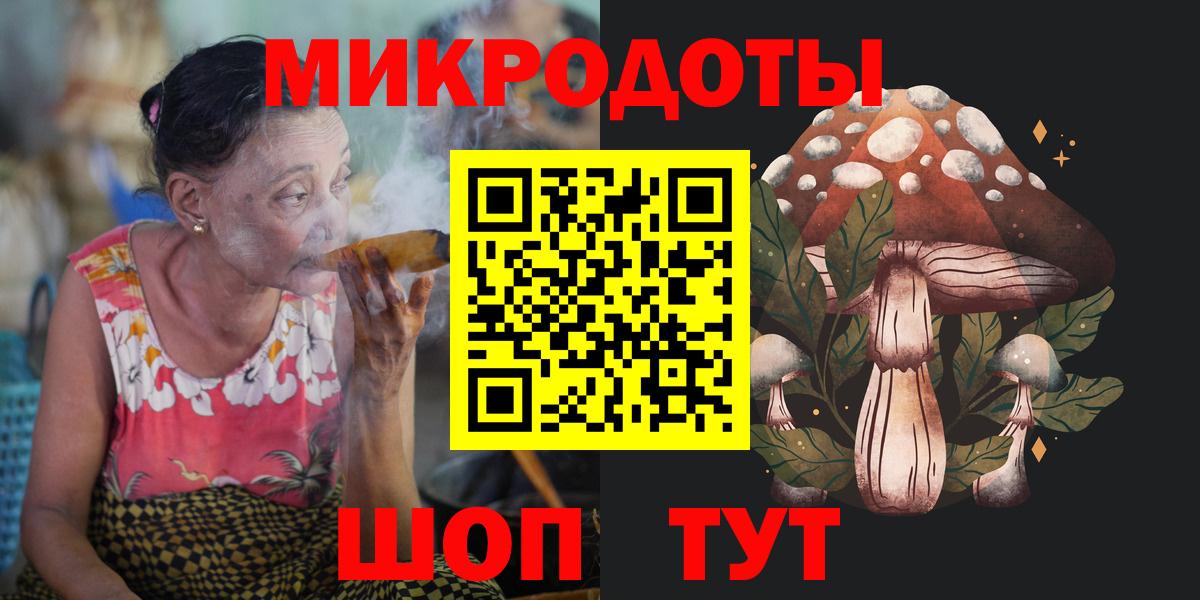 Псилоцибиновые грибы Psilocybe Красноперекопск