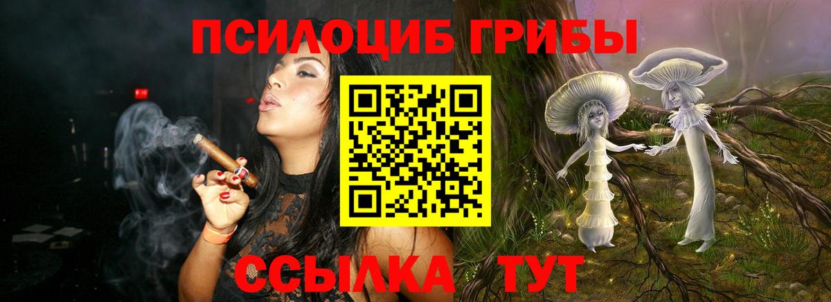 Псилоцибиновые грибы MAGIC MUSHROOMS  Вход с VPN  Псилоцибиновые грибы Cubensis  купить   Красноперекопск 